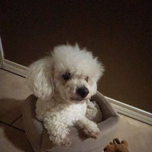 Meet your Posher, Joaquin